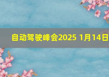 自动驾驶峰会2025 1月14日